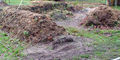 Compost arrangement 111223.jpg
