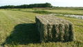 080524 Big bale of hay.JPG