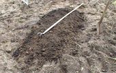 With a hand cultivator the soil and compost are mixed and leveled. The soil is now ready for planting or sowing. For fine seeds you may equalize the surface more using a rake.