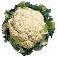 Cauliflower publ dom.jpg