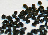 Basil seeds