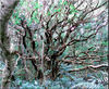 Image for Autonomous Spirit World.jpg